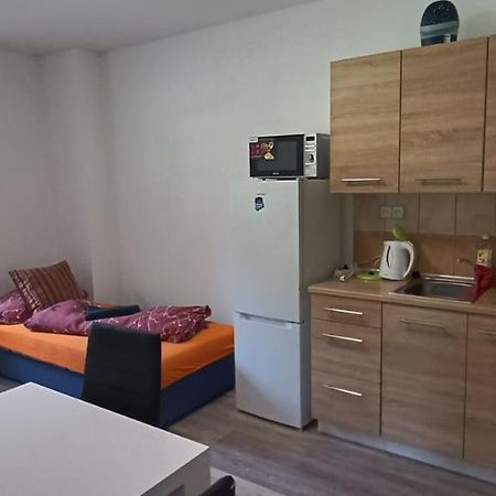 Апартаменты Apartman U Lebedu Стражны Экстерьер фото